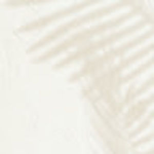 Meet your Posher, Shuyue